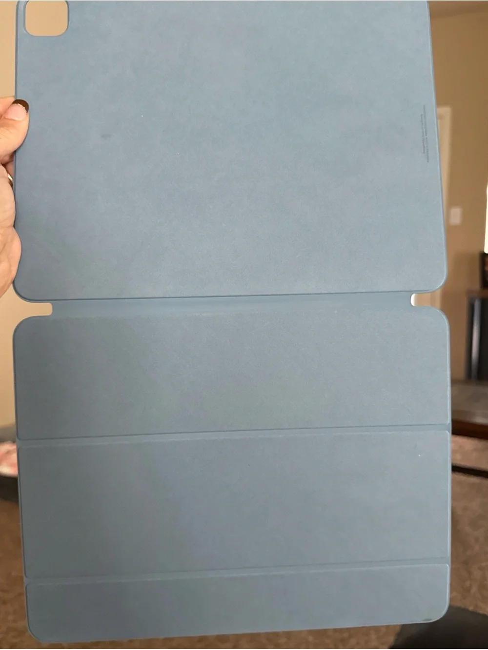 Apple light blue